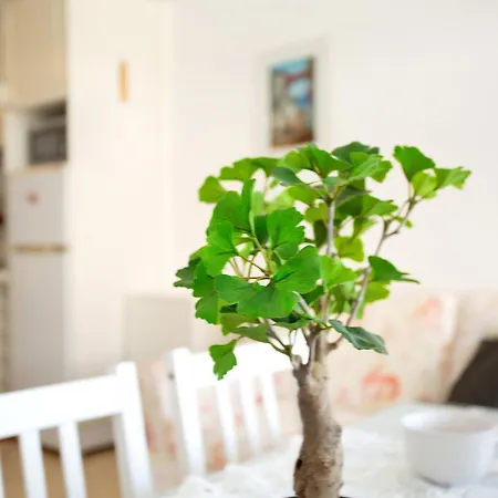 Apartmán Seaside Vista Residences Puerto Rico (Gran Canaria)
